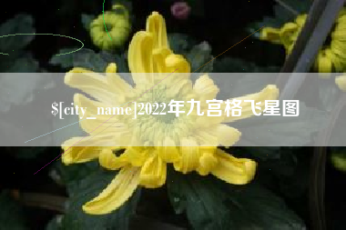 金昌2022年九宫格飞星图
