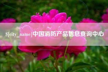 金昌中国消防产品信息查询中心