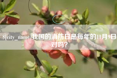 金昌我国的消防日是每年的11月9日对吗？