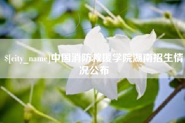 金昌中国消防救援学院湖南招生情况公布