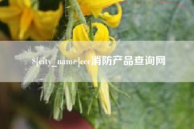 金昌ccc消防产品查询网