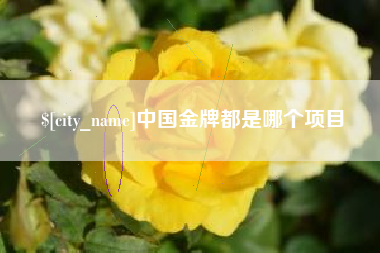 金昌中国金牌都是哪个项目
