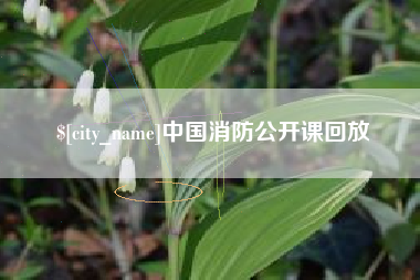 金昌中国消防公开课回放