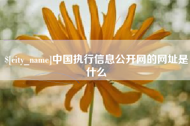 金昌中国执行信息公开网的网址是什么