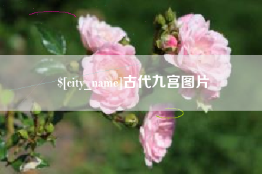 金昌古代九宫图片