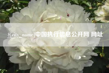 金昌中国执行信息公开网 网址