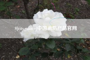 金昌中国消防产品官网