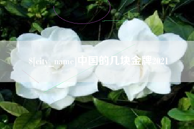金昌中国的几块金牌2021