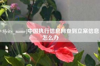 金昌中国执行信息网查到立案信息怎么办