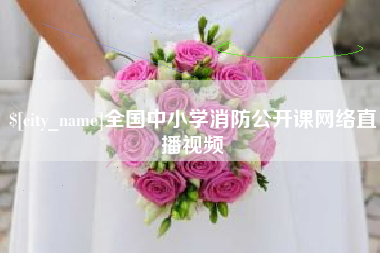 金昌全国中小学消防公开课网络直播视频