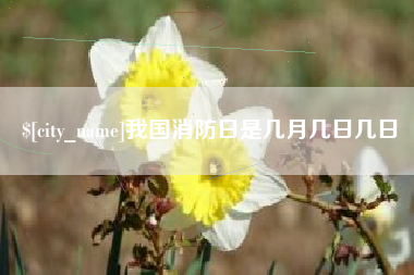 金昌我国消防日是几月几日几日