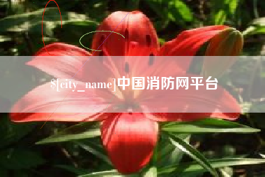金昌中国消防网平台