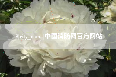 金昌中国消防网官方网站