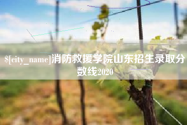 金昌消防救援学院山东招生录取分数线2020