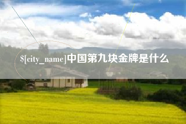 金昌中国第九块金牌是什么