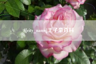 金昌王子豪百科
