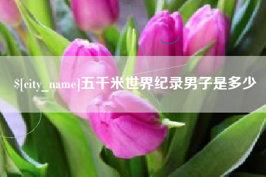 金昌五千米世界纪录男子是多少