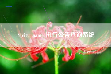 金昌执行公告查询系统