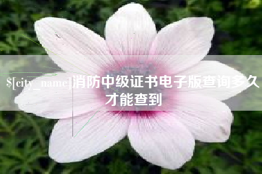 金昌消防中级证书电子版查询多久才能查到