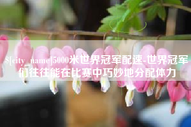 金昌5000米世界冠军配速-世界冠军们往往能在比赛中巧妙地分配体力