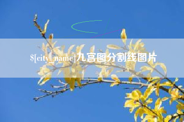 金昌九宫图分割线图片