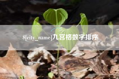 金昌九宫格数字排序