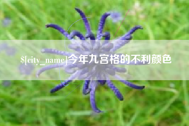 金昌今年九宫格的不利颜色