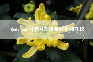 金昌中国九枚金牌是哪九枚