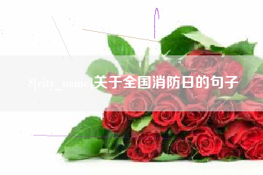 金昌关于全国消防日的句子