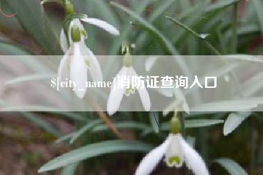 金昌消防证查询入口