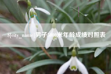 金昌男子5000米年龄成绩对照表