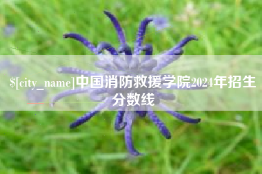 金昌中国消防救援学院2024年招生分数线