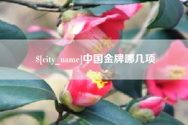 金昌中国金牌哪几项