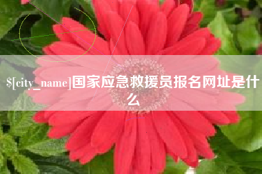 金昌国家应急救援员报名网址是什么