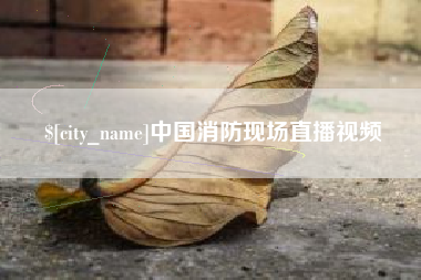 金昌中国消防现场直播视频