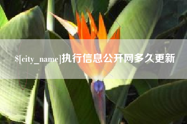 金昌执行信息公开网多久更新