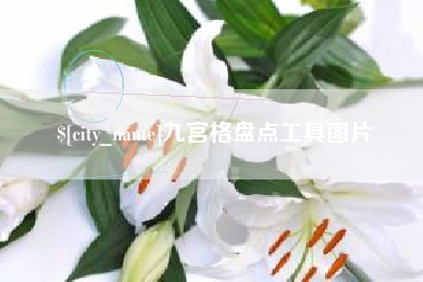 金昌九宫格盘点工具图片