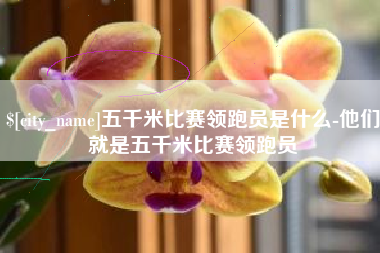 金昌五千米比赛领跑员是什么-他们就是五千米比赛领跑员