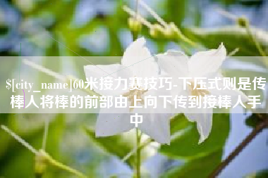 金昌60米接力赛技巧-下压式则是传棒人将棒的前部由上向下传到接棒人手中
