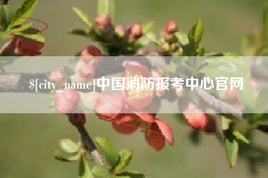 金昌中国消防报考中心官网