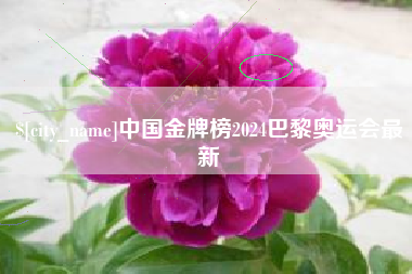 金昌中国金牌榜2024巴黎奥运会最新