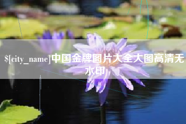 金昌中国金牌图片大全大图高清无水印