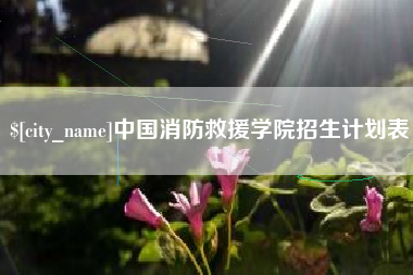 金昌中国消防救援学院招生计划表