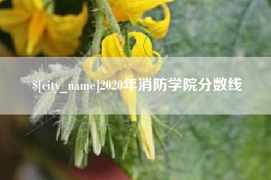 金昌2020年消防学院分数线