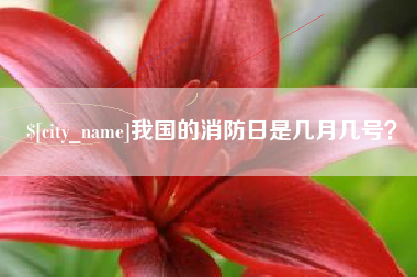 金昌我国的消防日是几月几号？