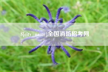 金昌全国消防招考网