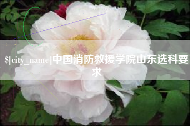 金昌中国消防救援学院山东选科要求