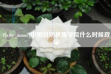金昌中国消防救援学院什么时候政审