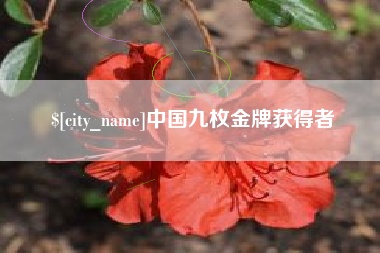 金昌中国九枚金牌获得者