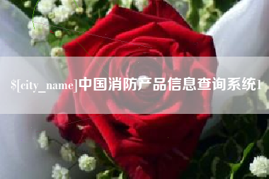 金昌中国消防产品信息查询系统1